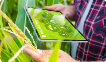 a person holding a tablet in the middle of nature